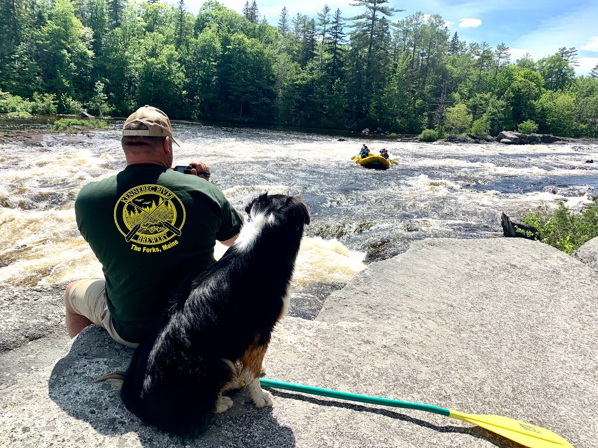 MaineAdventures's tweet image. Penobscot River training week- all hands on deck! #guidetraining #workoutside #lovewhatyoudo

📸 Erica Luce, Guide Class of 2012