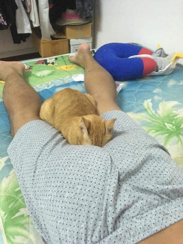 BobaaaSenpai tweet media