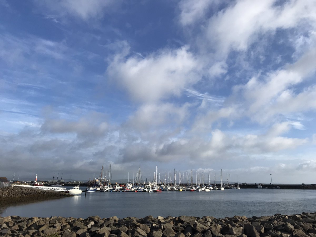 Fenella Humphreys tweet media