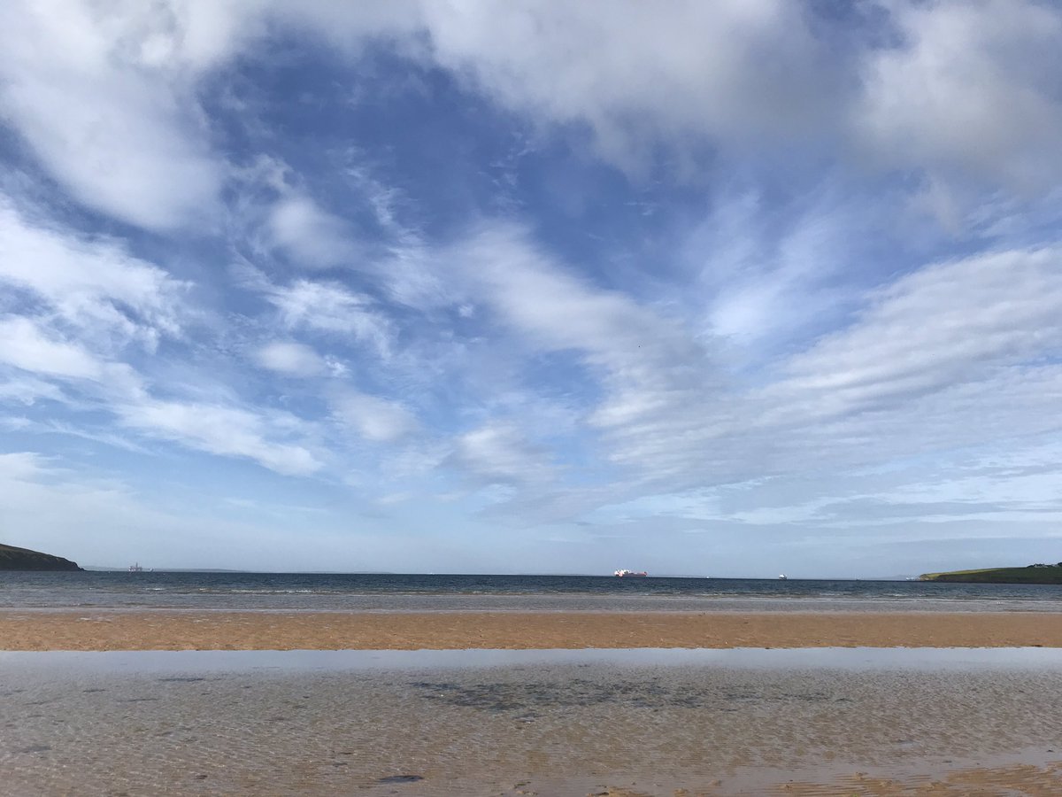 Fenella Humphreys tweet media