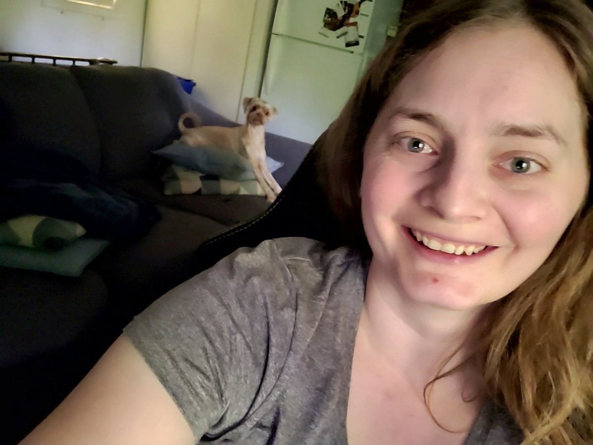 AgilitywAmanda's tweet photo. Joey the Muppet loves to arrange the pillows on the couch for his afternoon nap 🥰😂

#bougiedog #muppetdog #smalldog #smalldogsrule #smalldogproblems #selfiewithdog #livingwithdogs #dogsathome #dogsonthesofa #dogsonthecouch #shipoo #shihtzucross #poodlecross https://t.co/0Haxp1uKIX