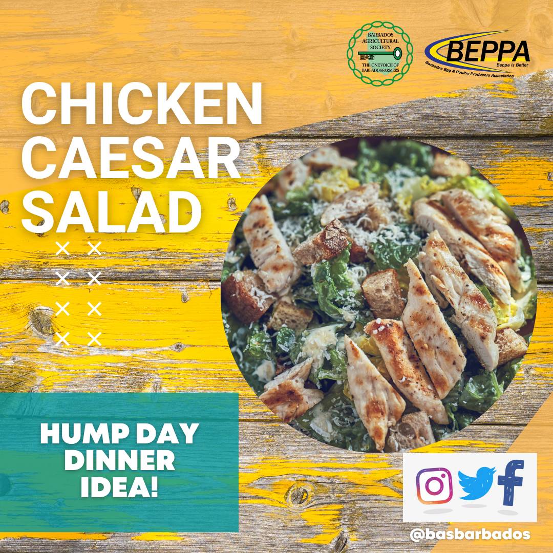 basbarbados's tweet photo. Here's a simple dinner idea to get you over hump day.  Try this recipe to make your own croutons!

https://t.co/28E3LWx3J3

#startwithchicken #basbarbados #beppa https://t.co/htHPRuyaKI