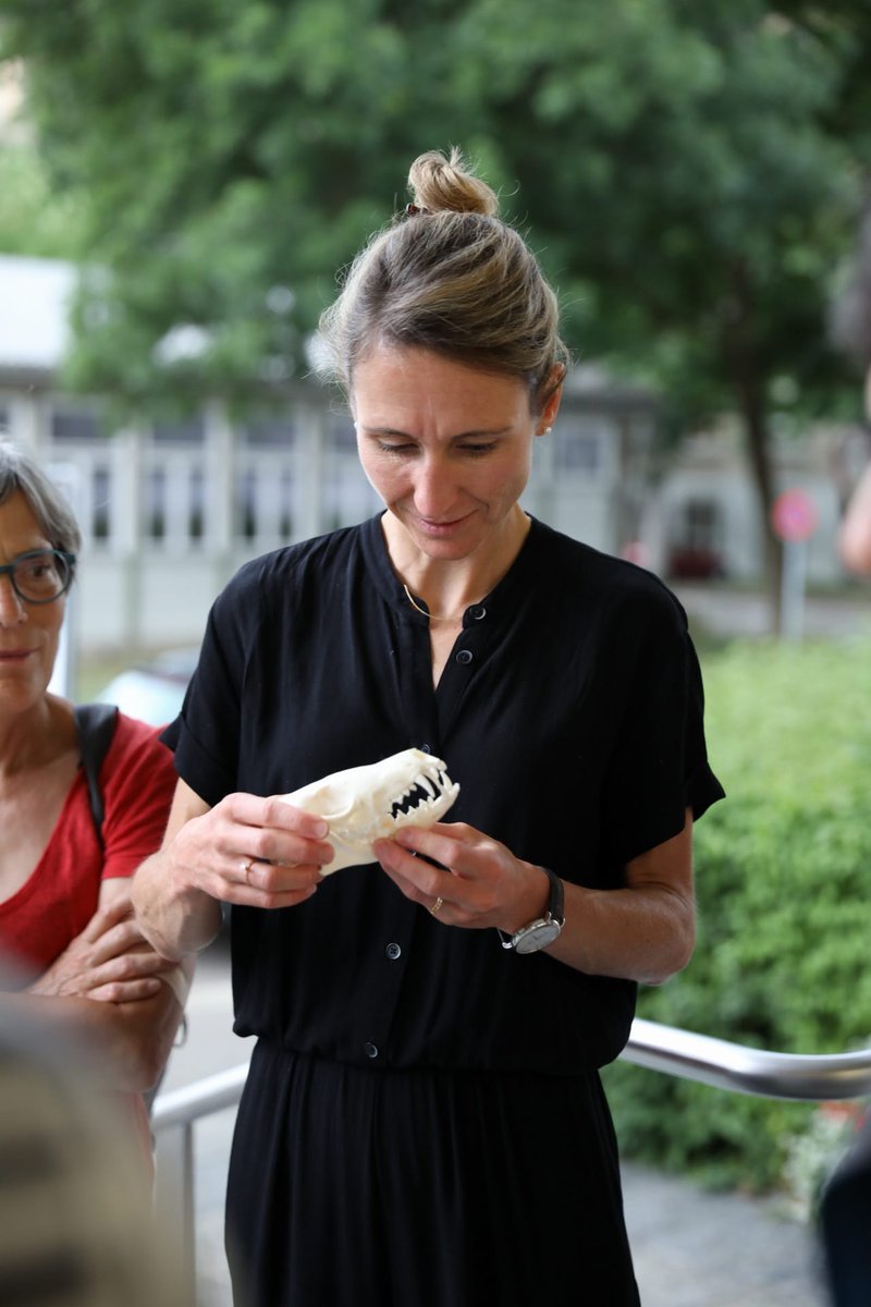 ScienceEtCite's tweet photo. ☂️ Der strömende Regen hielt einige #ScienceComm22-Teilnehmende nicht davon ab, nach der #ScienceComm noch durchs #Museumsquartier zu spazieren und dabei spannenden Führungen zu den Themen #Mobilität und #Biodiversität zu lauschen.

#wisskomm https://t.co/tDBDS7fVU7