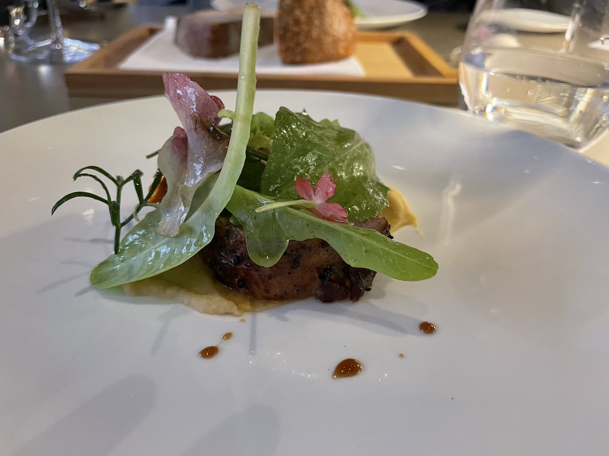 Shqiponja Telhaj tweet media