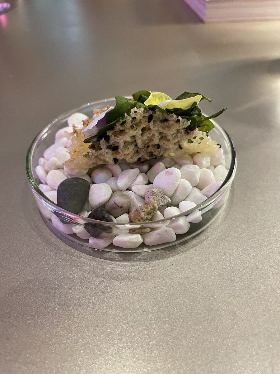 Shqiponja Telhaj tweet media