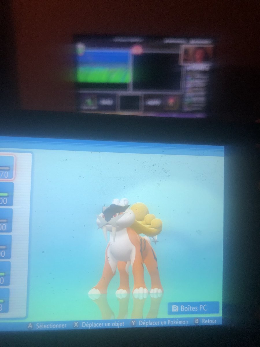 6 mois de shasse qui ce termine ce soir avec ce magnifique raikou shiny, en 22724 resets devant le stream de <a href="/PicotPierrot/">PicotPierrot</a>. Plus de 350 heures. Je n’y croyais vraiment plus!! <a href="/BromatiquesTV/">BromatiquesTV</a> <a href="/Yumi34920/">Alice / Yumi</a> <a href="/Mart0un/">Mart0unSH</a>