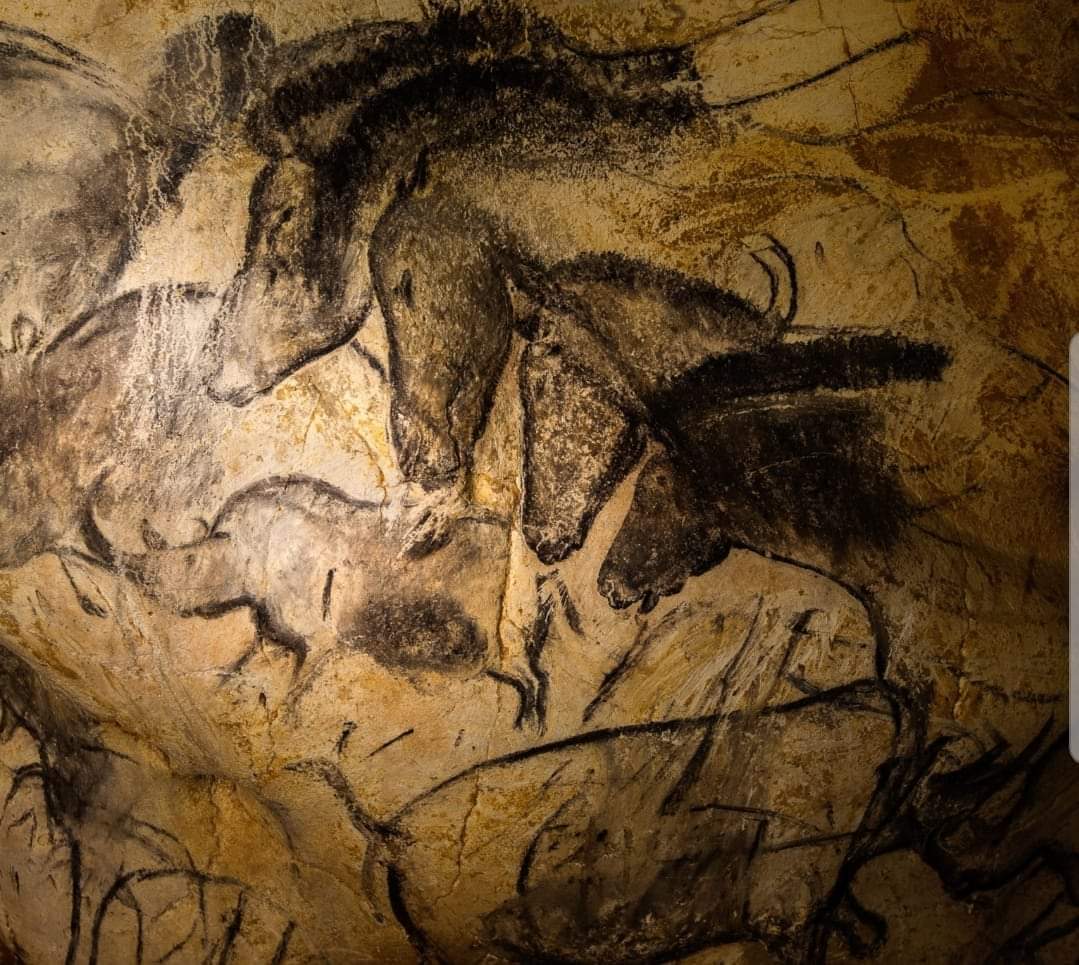 Archaeo - Histories tweet media