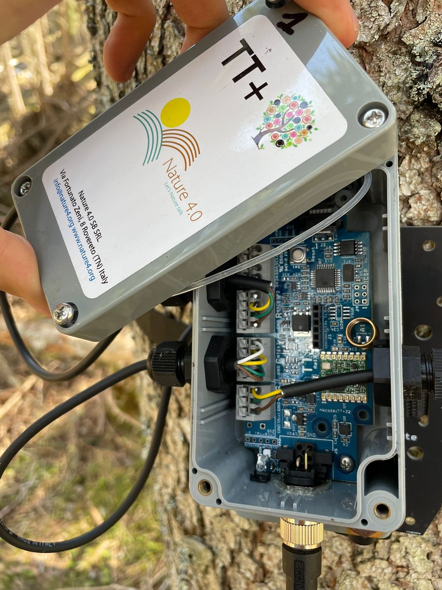 etomelleriunib1's tweet image. In these days, we are dealing with some summer maintenance and metadata collection for the follow-up 🌳🔋🖥️ #ITTNet #ttalkR #theitaliantreetalkernetwork ☕#climatesmartforestry 🌲