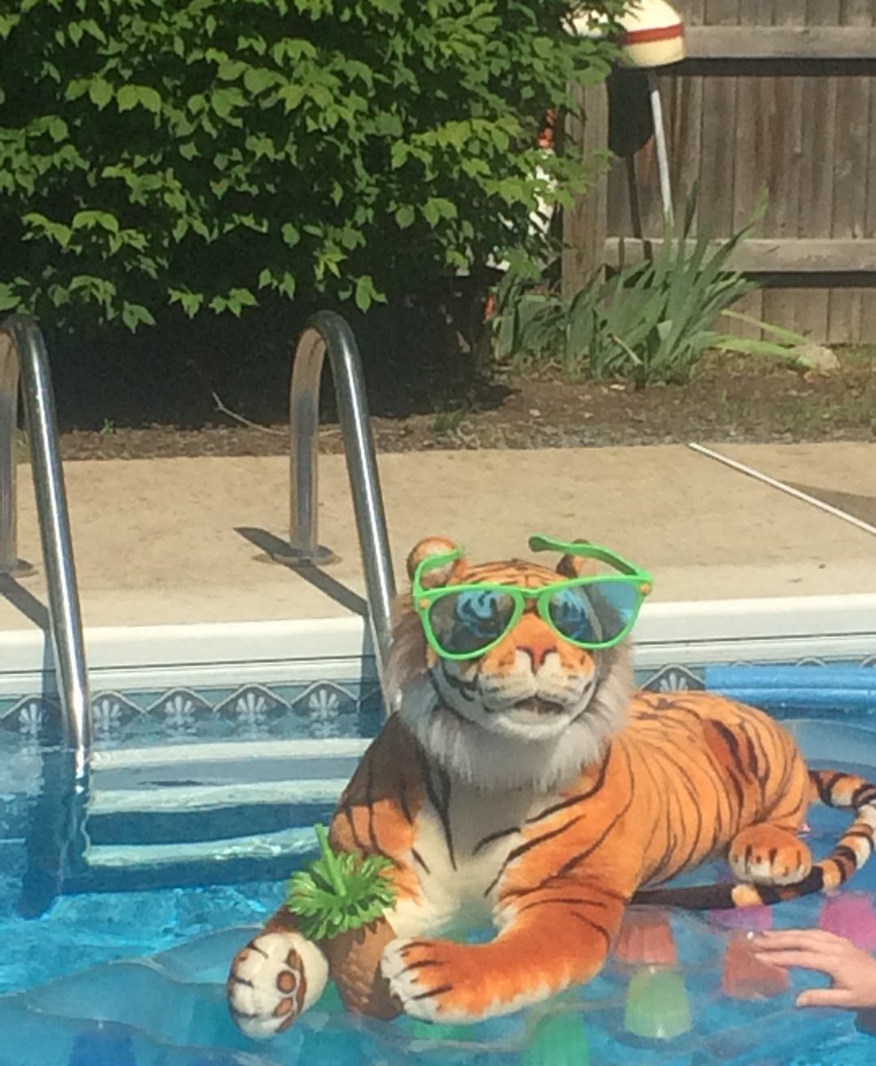 Another year on the books! Happy summer OA!