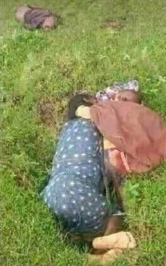 ገዳዩም ትዛዝ የሰጠውም እናት ወልዳቸው ነው አይደል?
#ነውረኞች_ናችሁ😭 ጌታ ሆይ በቃችሁ በለን!!! #AmharaGenocide #Amharagenocideareconstitutional #Ethiopia