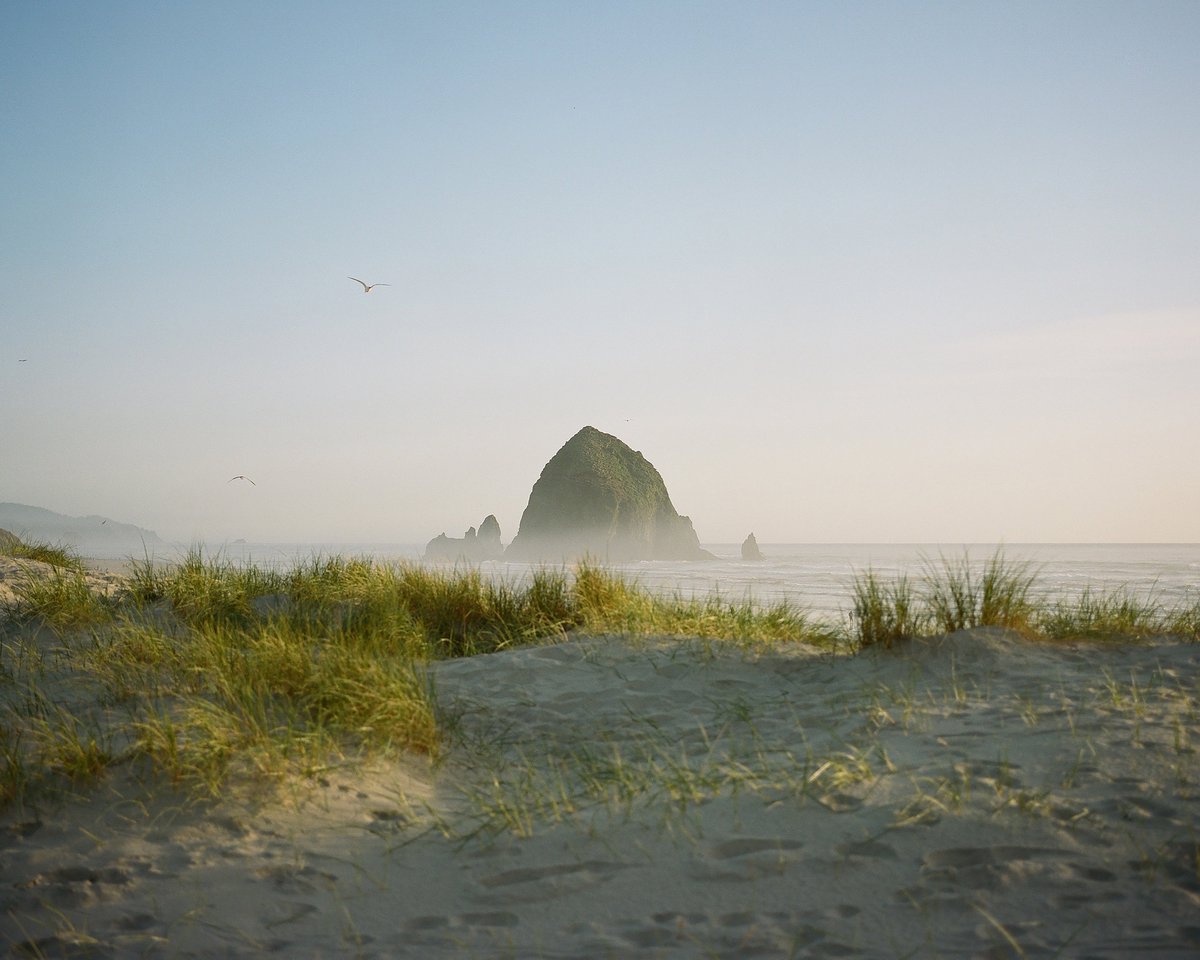 kristopher tweet media