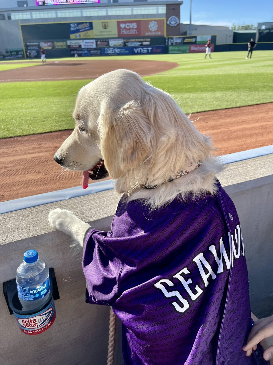 kaylabann3's tweet photo. @erie_seawolves your #1 fan is here https://t.co/CSoV1VyVNp