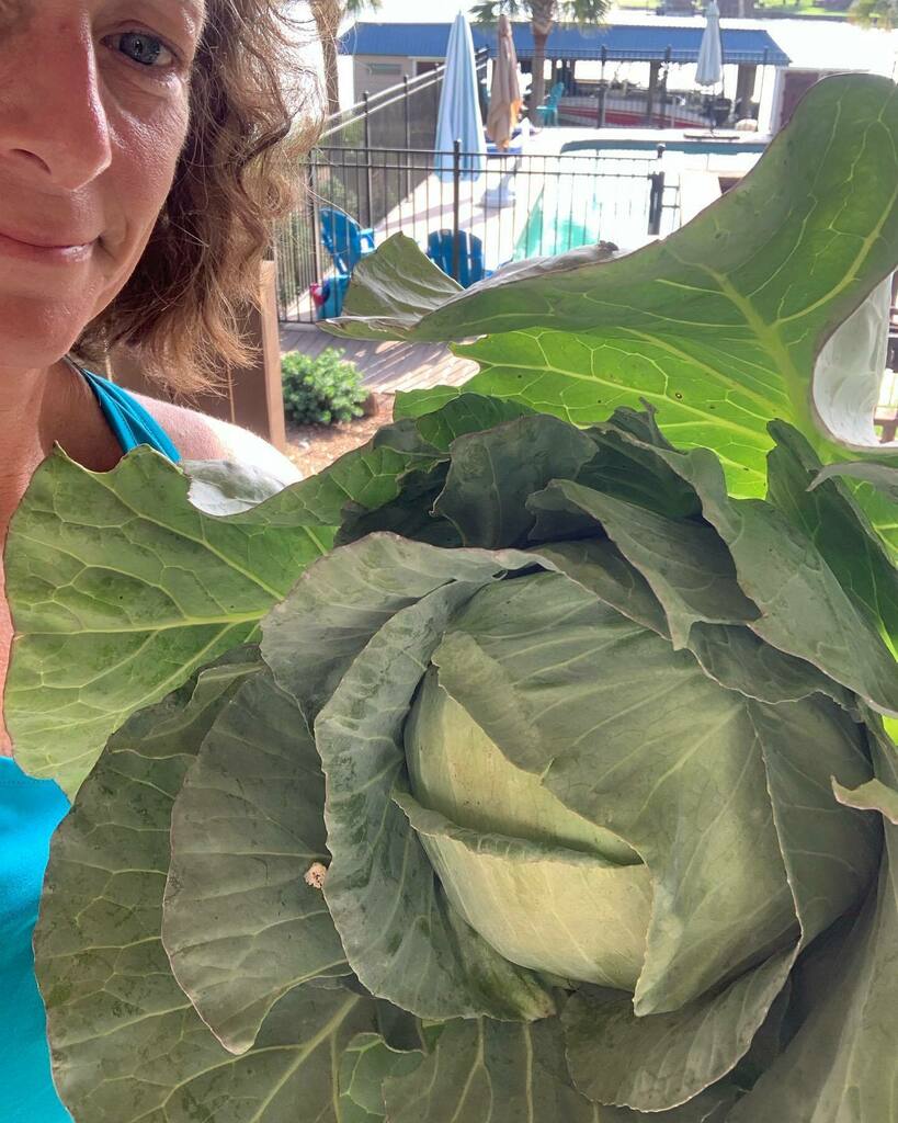 Angela Conrad Church tweet media