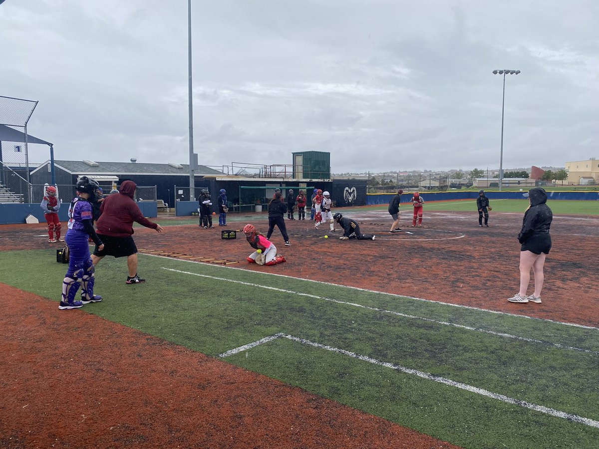 Lamar CC Softball tweet media