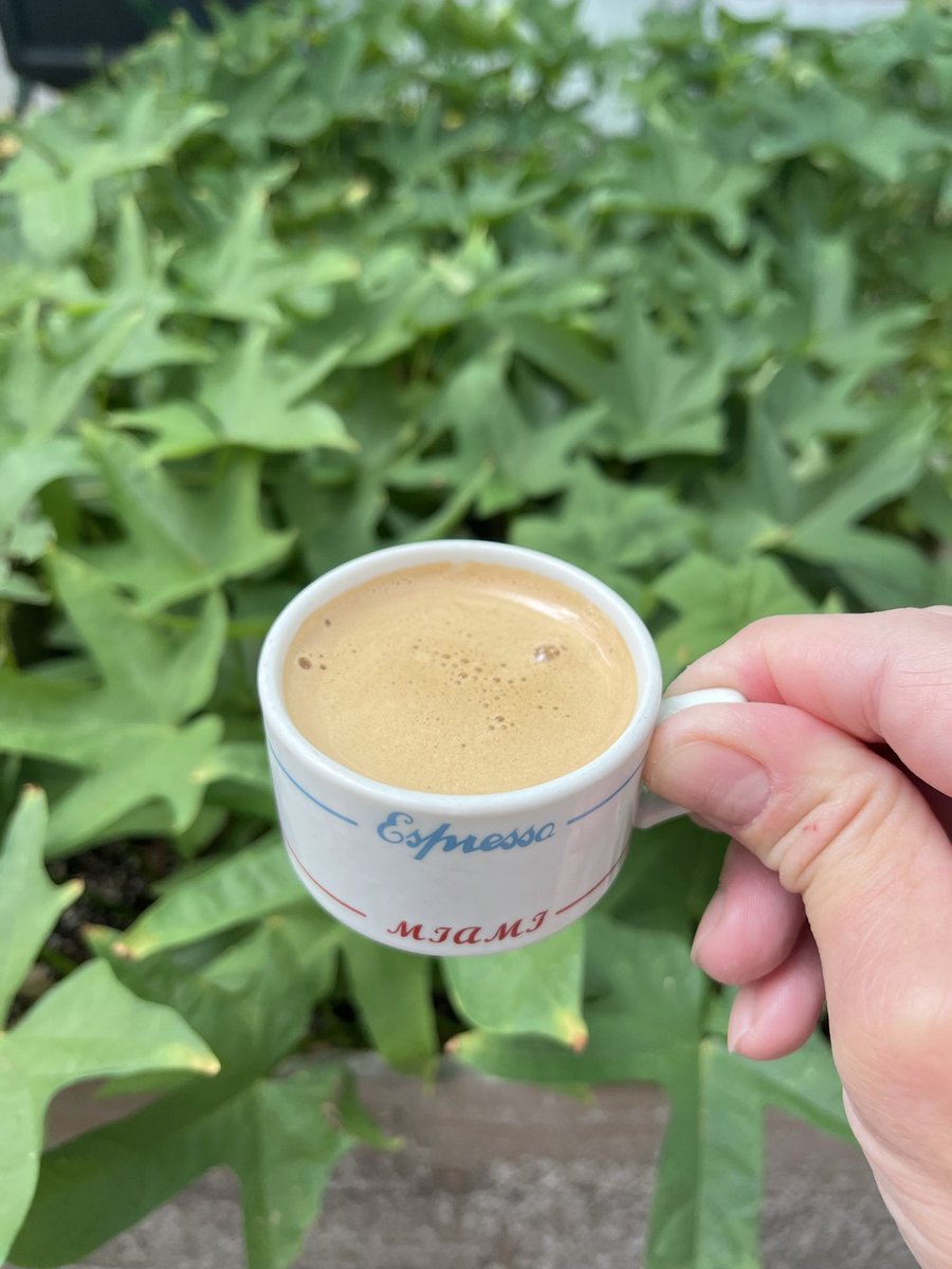 CardanoCubano's tweet photo. In summer mode, mad chillin’, forgettin’ to post my #cafeitotime! 😁😉 https://t.co/4j2ZlejZQU