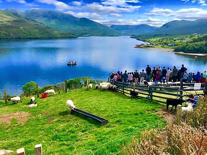 ConnemaraWild's tweet photo. What top 3 experiences do you want to try this summer in Connemara? #connemarawildescapes #irelandwildescapes #irish #ireland #discoverireland #nature #wildatlanticway #tourismireland https://t.co/lgKJpHq1MH