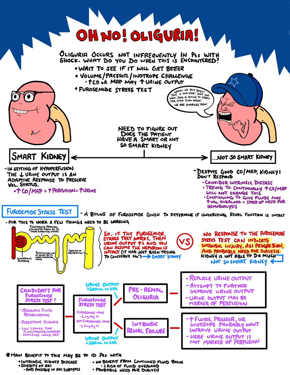 A little bit of info on furosemide stress test. Most of this is from a  <a href="/PulmCrit/">𝙟𝙤𝙨𝙝 𝙛𝙖𝙧𝙠𝙖𝙨 💊</a> post awhile back. I did find a more recent article on the subject. #FOAMcc 
While I am a #Cowboys fan…I try not to be this type of Cowboys fan.
ncbi.nlm.nih.gov/pmc/articles/P…