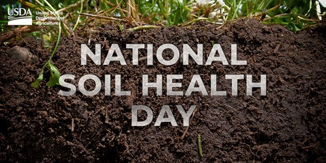 Join <a href="/USDA/">Dept. of Agriculture</a> in celebrating #NationalSoilHealthDay on June 23! Every bite of food and sip of water depends on our soil. Learn more about #SoilHealth.  bit.ly/3OArvwI <a href="/IADeptAg/">Iowa Dept of Agriculture & Land Stewardship</a> <a href="/iacovercrop/">Iowa Cover Crop</a> <a href="/ISUExtension/">ISU Extension and Outreach</a>