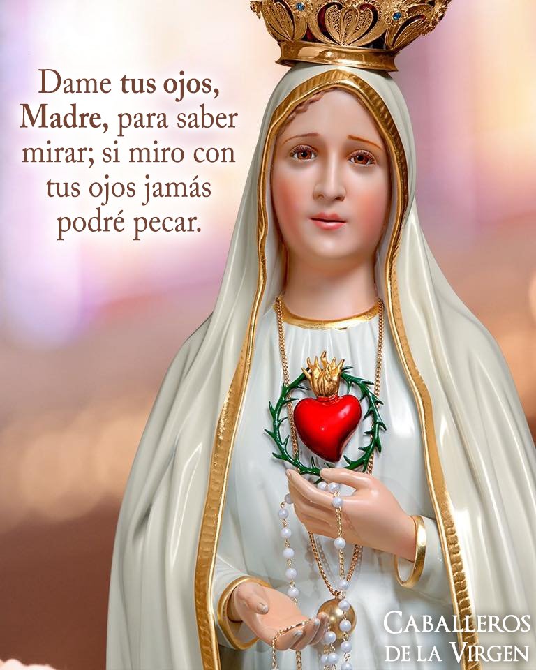 Cab_Virgen's tweet photo. Dame tus ojos, Madre, para saber mirar;
si miro con tus ojos jamás podré pecar. https://t.co/vziM8F9h9m