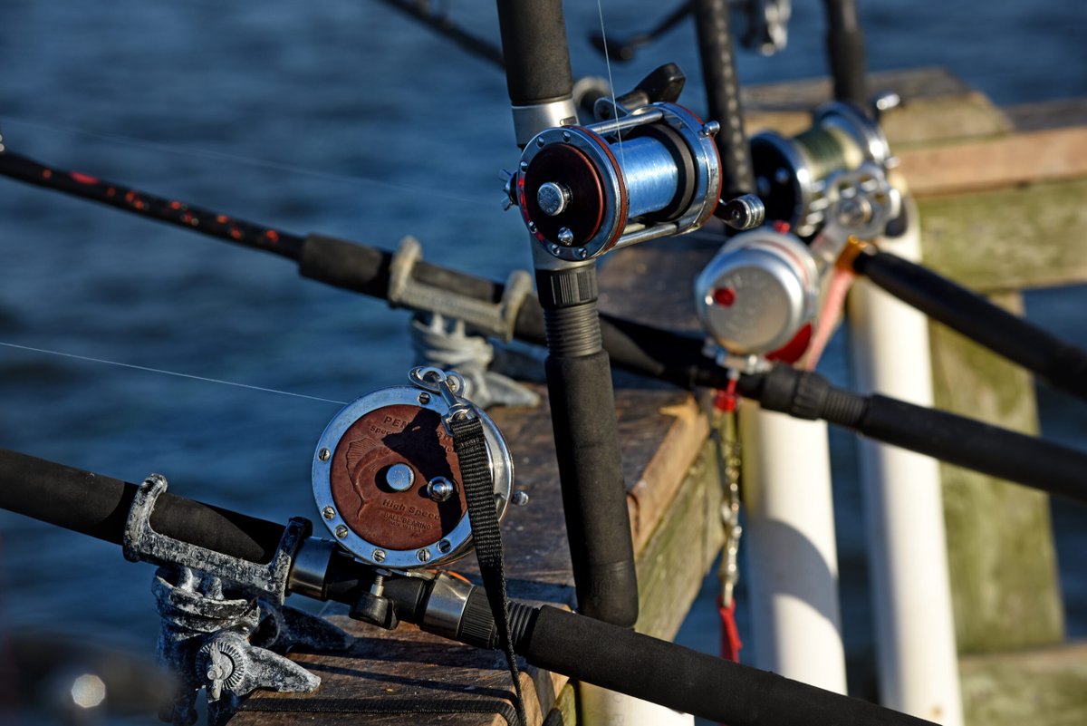 SeaGrantNC's tweet photo. Shark Thievery, American Shad in the Albermarle Sound, and How We Fished 12,000 Years Ago. #HookLineScience has the latest science for anglers in the Summer 2022 Issue of #Coastwatch: https://t.co/4a8QgMOEd2 https://t.co/VteVEllgGX
