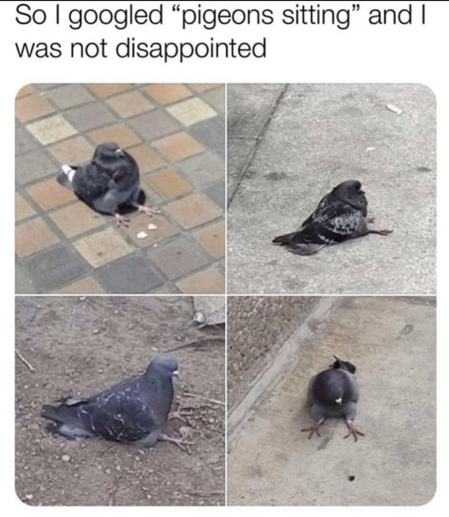 RespectfulMemes's tweet photo. https://t.co/DLKuOAxdxs