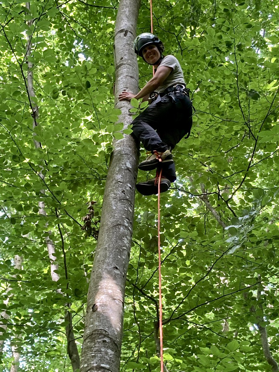 Emilie Joetzjer tweet media