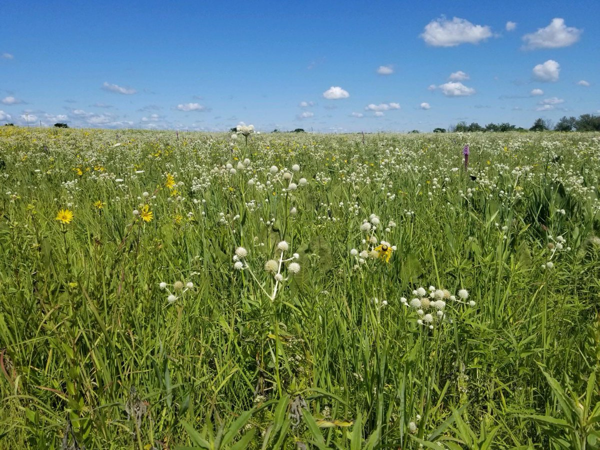 Land Trust Alliance (@ltalliance) on Twitter photo BIG NEWS! The Senate finance committee has passed the Charitable Conservation Easement Program Integrity Act. Big thank you to <a href="/SteveDaines/">Steve Daines</a> <a href="/ChuckGrassley/">Chuck Grassley</a> and <a href="/SenStabenow/">Sen. Debbie Stabenow</a> for taking the next step in stopping the abuse of the charitable conservation easement deduction. BIG NEWS! The Senate finance committee has passed the Charitable Conservation Easement Program Integrity Act. Big thank you to <a href="/SteveDaines/">Steve Daines</a> <a href="/ChuckGrassley/">Chuck Grassley</a> and <a href="/SenStabenow/">Sen. Debbie Stabenow</a> for taking the next step in stopping the abuse of the charitable conservation easement deduction.