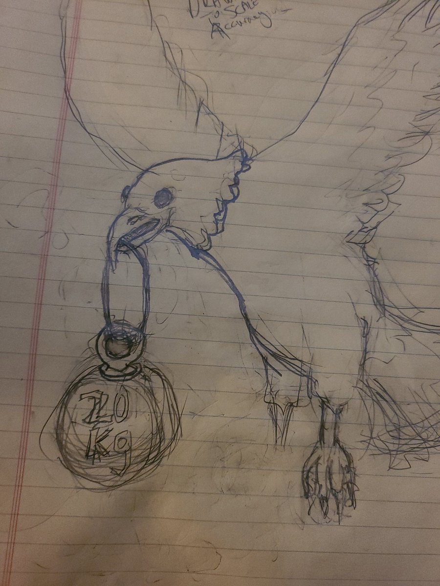 InfoWank's tweet photo. @sethmeyers #corrections
"As the eagle started to fly away with the goose in its mouth. "
The eagle, known primarily for the amazing strength of its mouth. Scientists only theorize what eagles do with their feet. https://t.co/FSpWojyind