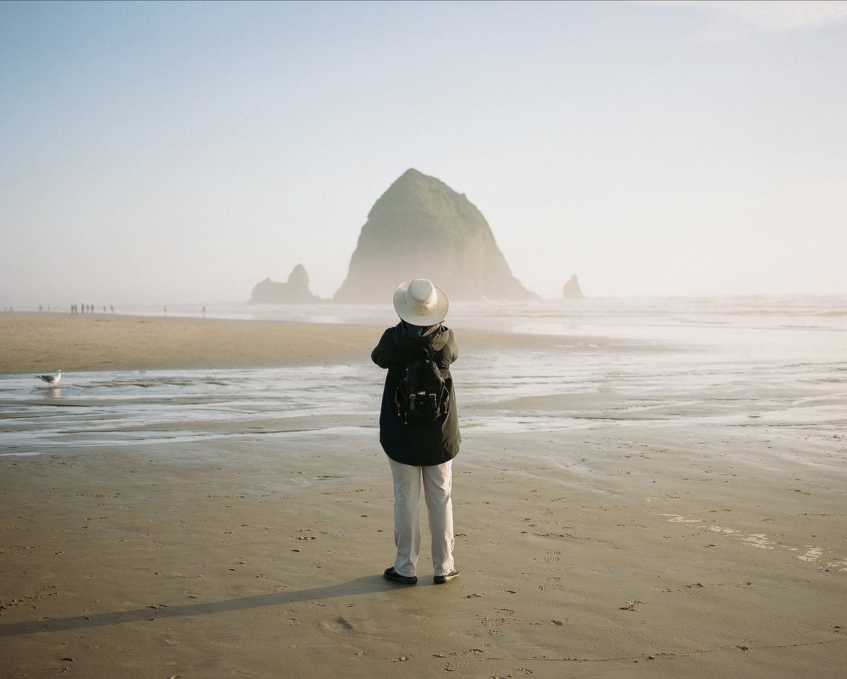 kristopher tweet media