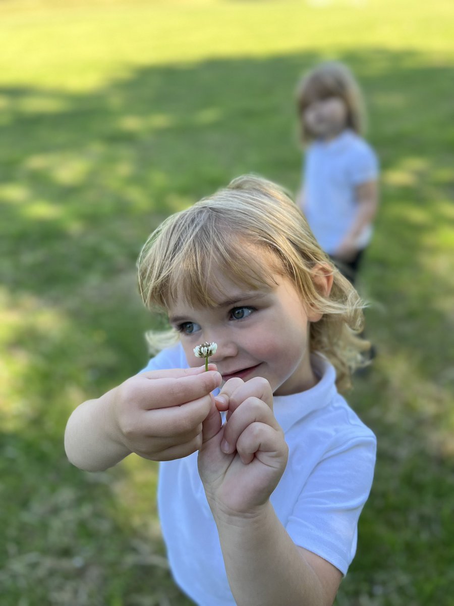 Micklewrightr's tweet photo. Amazing fieldwork this morning in nursery. We looked around our school grounds to find habitats for bees to pollinate. We then sprinkled seeds on our new meadow area to encourage bees to our field. 🐝#beegreen @aspear_ @RowParkAcademy https://t.co/yDtjVlNGSg