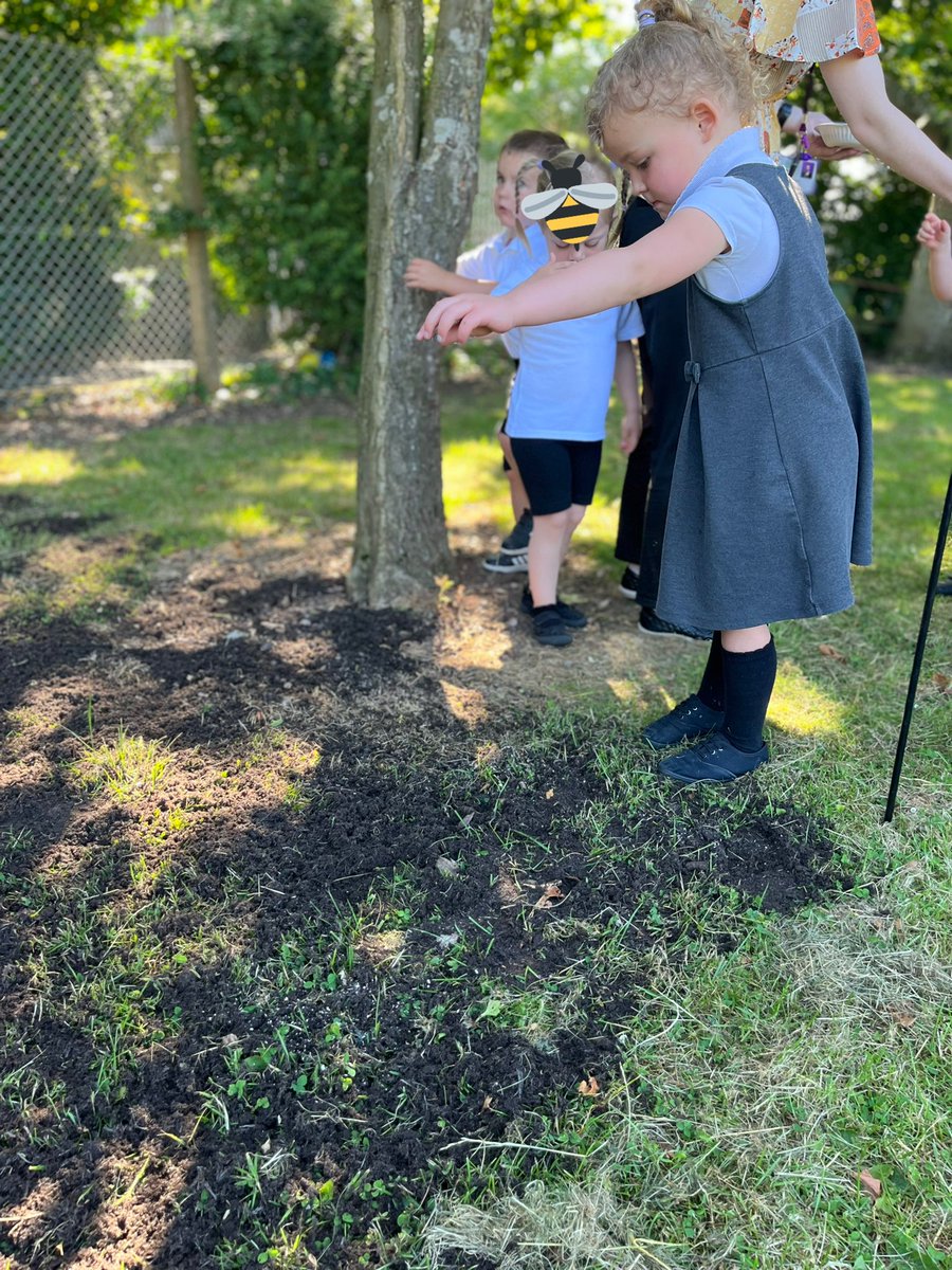 Micklewrightr's tweet photo. Amazing fieldwork this morning in nursery. We looked around our school grounds to find habitats for bees to pollinate. We then sprinkled seeds on our new meadow area to encourage bees to our field. 🐝#beegreen @aspear_ @RowParkAcademy https://t.co/yDtjVlNGSg