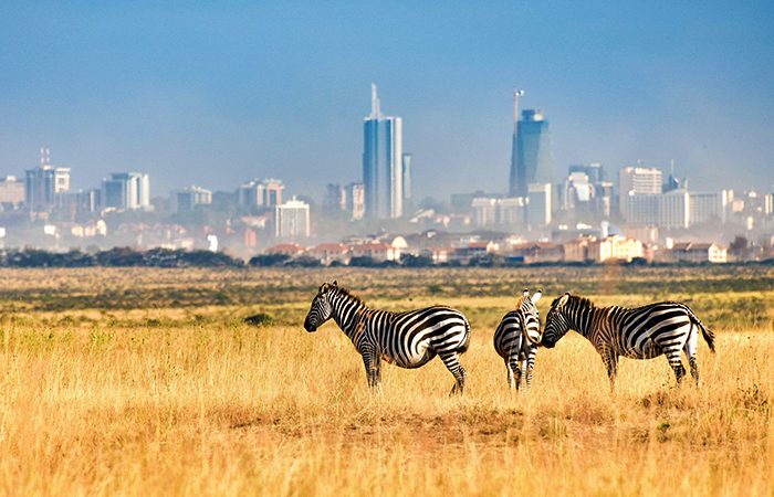 Magical Kenya tweet media