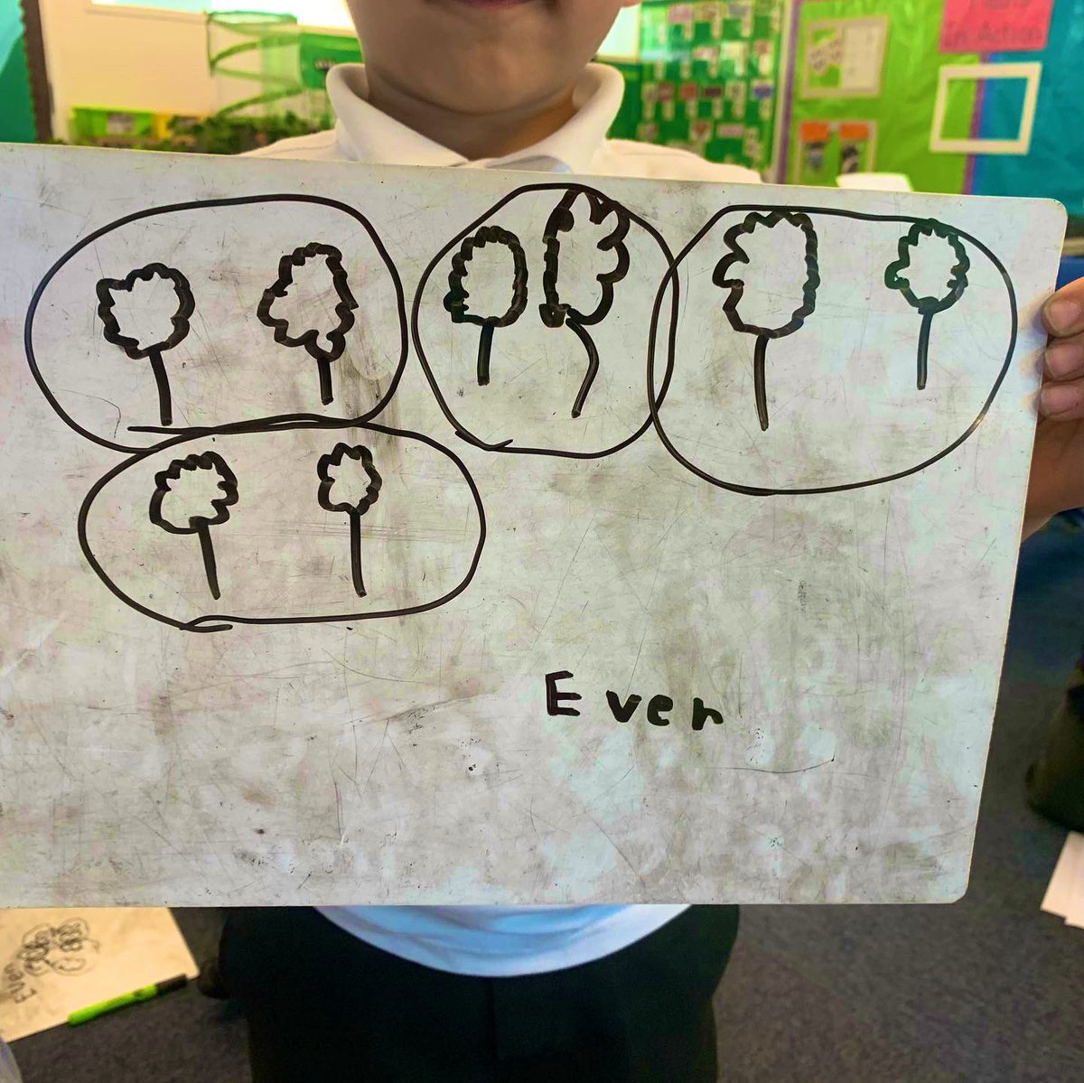 This week we have been learning about odd and even numbers. Great work Butterflies! 🦋 <a href="/MasterTheCurric/">Master The Curriculum</a>