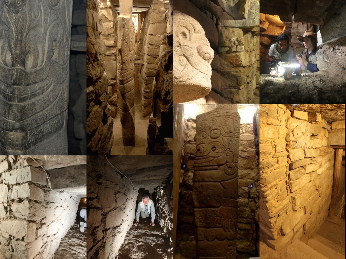 Dr. Henry "Indiana" Jones, Jr. 🤠 tweet media