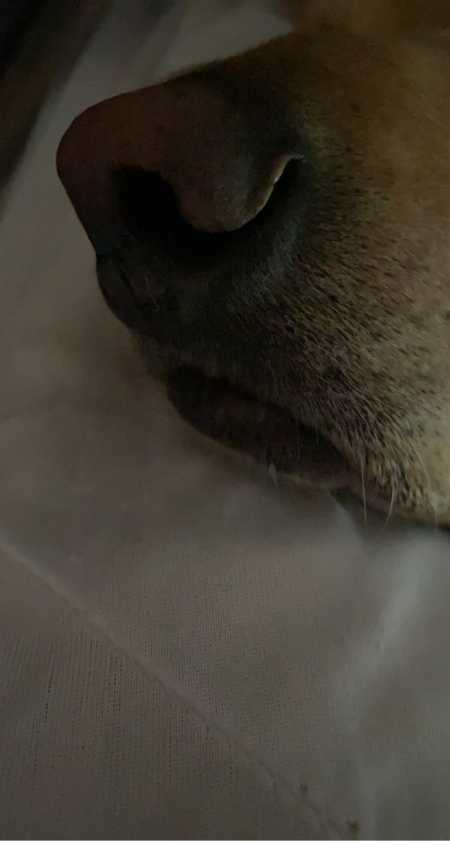 aaron uzilondon tweet media