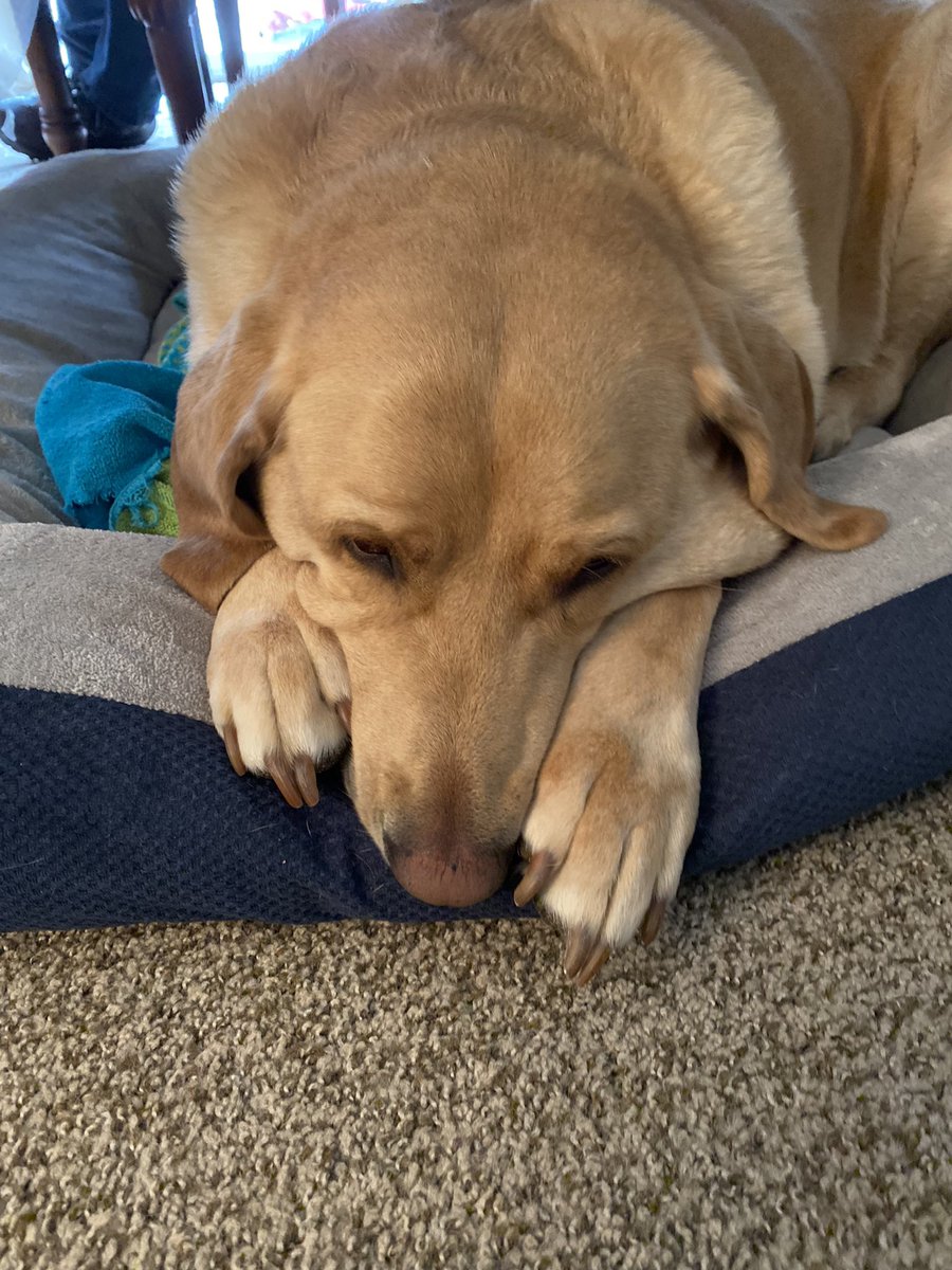 aaron uzilondon tweet media