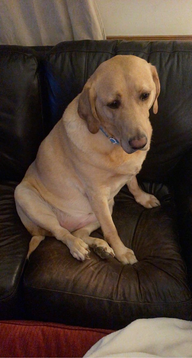 aaron uzilondon tweet media