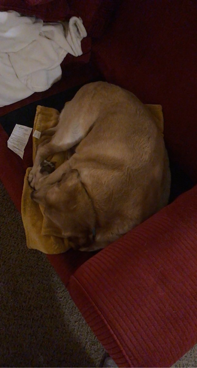 aaron uzilondon tweet media