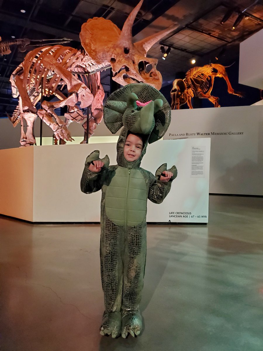 hmns's tweet photo. 😝Happy Last Day of June😆
It's #FreeThursday, and that means our permanent exhibitions are free today from 5pm to 8pm.
Come bathe in the cold A/C and science vibes. Costumes are not required but are always welcome.
🤩🦖
VISIT: https://t.co/AmOW8SAqF7 https://t.co/D9Tizo0HpC