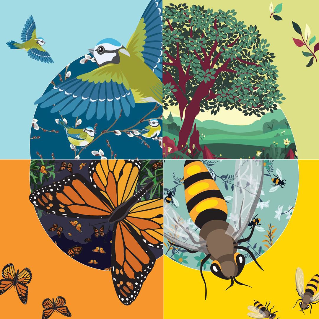 Pointe_Claire's tweet photo. What’s new! The City is offering educational kits, designed for young people, on the biodiversity of Terra-Gotta Natural Park. https://t.co/YKQtjpS339 #pointedness https://t.co/0LiqzEqtp3