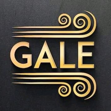 ArcLight130's tweet photo. @Crypto__Diva We are $GALE 💪💪💪
#Galenetwork https://t.co/vFmHTTHcCn