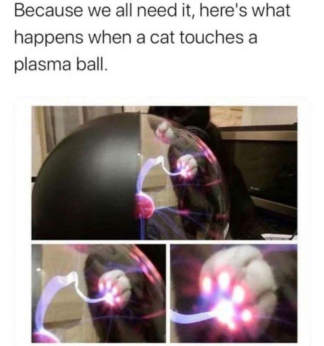 WholesomeMemes (@wholesomememe) on Twitter photo 