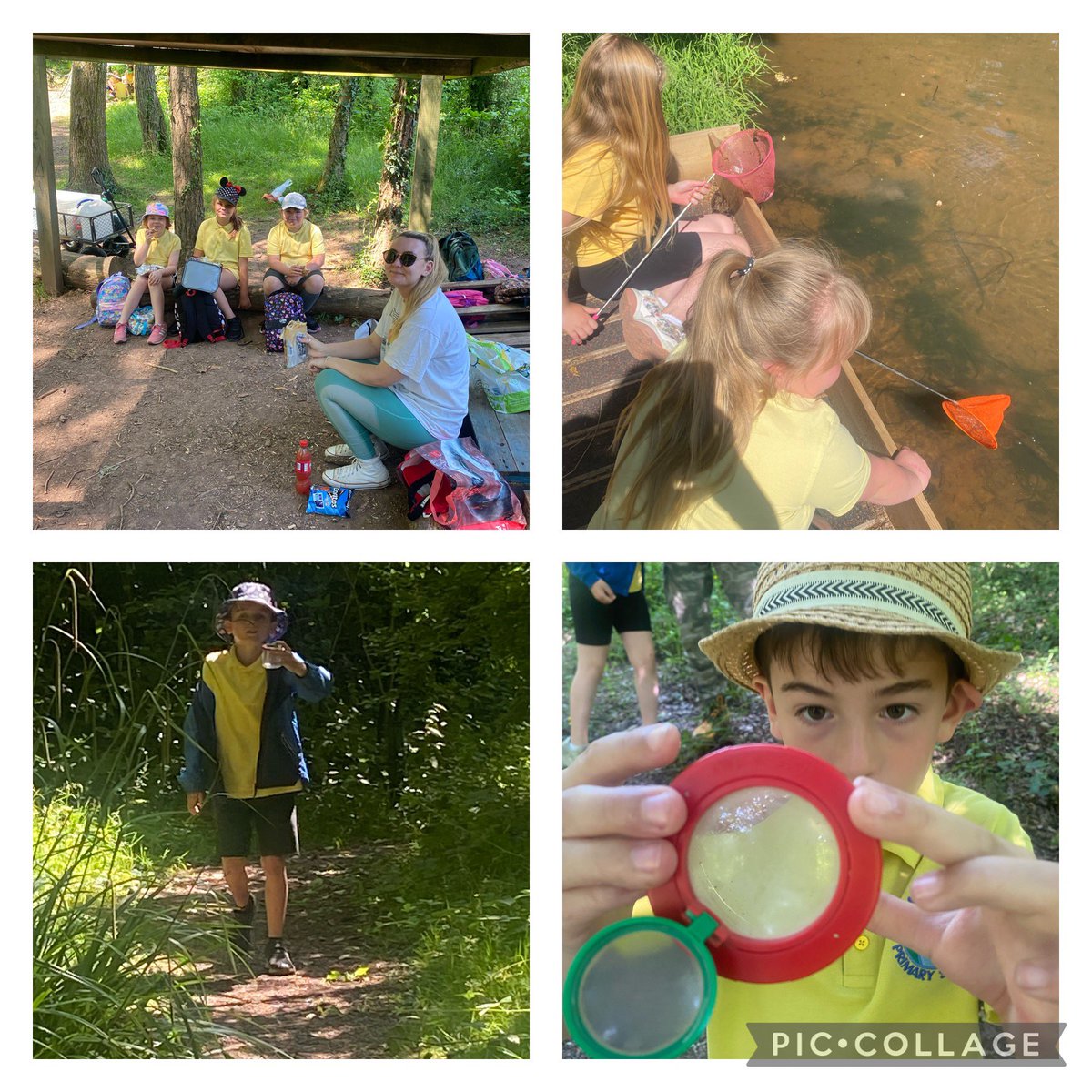 MissHShephard's tweet photo. Dosbarth Pwll Du had such an amazing experience at @GMCFWales. We built dens, went pond dipping, lit fires and toasted marshmallows😋 I’m very proud of all the children today da lawn pawb!! @cwmffrwdoer https://t.co/Vza9V96OaG