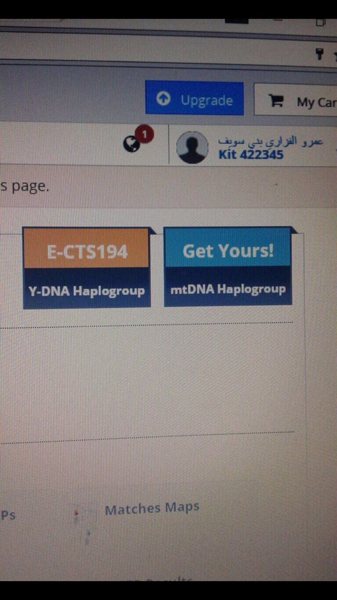 عينة من قبيلة (فزارة) مصر بني سويف على التحور E.v65 المتفرع من السلالة E1b1b1
رقم العينة/ 422345