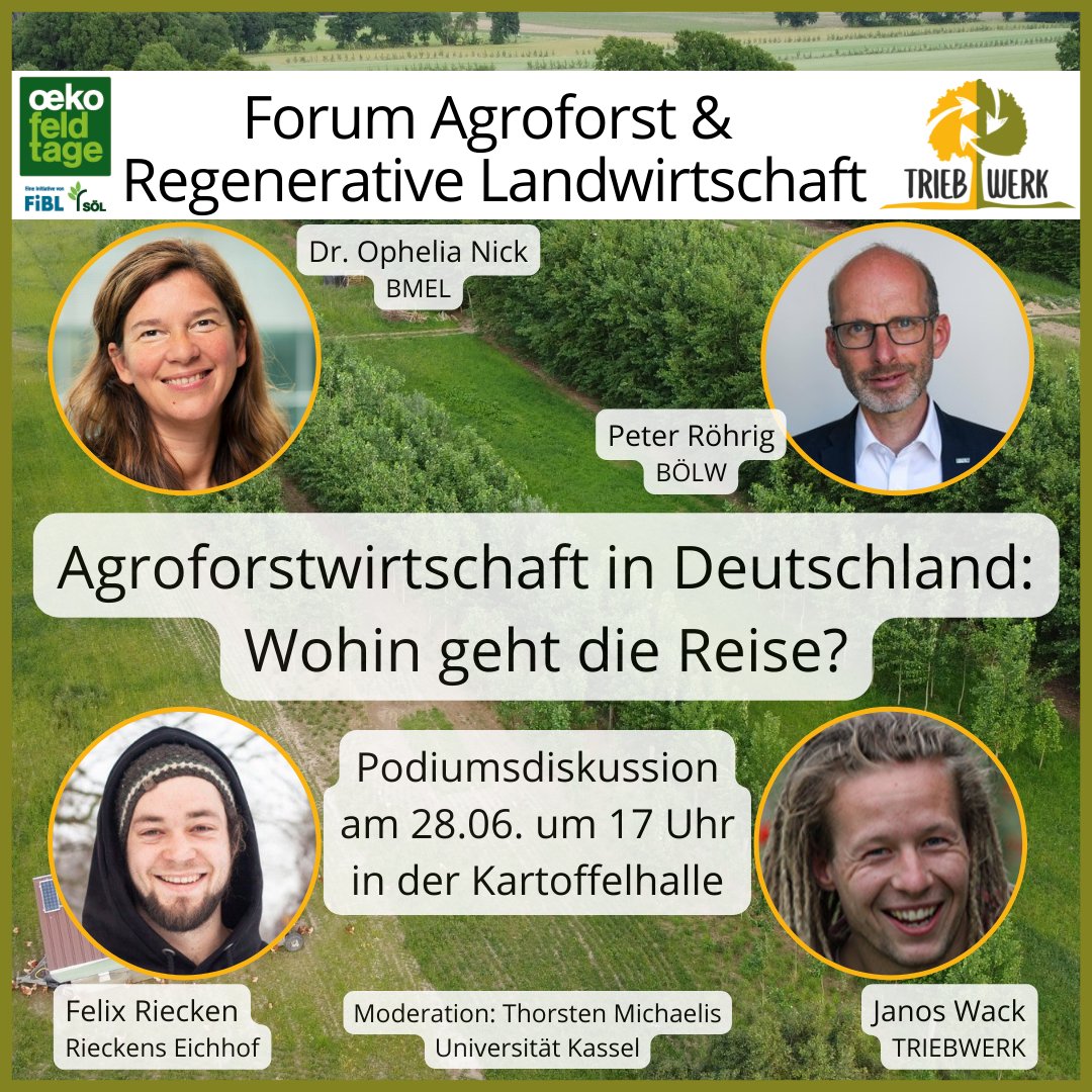 Wir freuen uns sehr auf den Abschluss unseres Forums auf den Öko-Feldtagen: Mit hochkarätigen Gästen geht es zur Sache: Was bringt die #GAP für die #Agroforst|wirtschaft? Aktuell besteht noch viel Nachbesserungsbedarf v.a. für die Praxistauglichkeit der Förderung... 
#Ökofeldtage