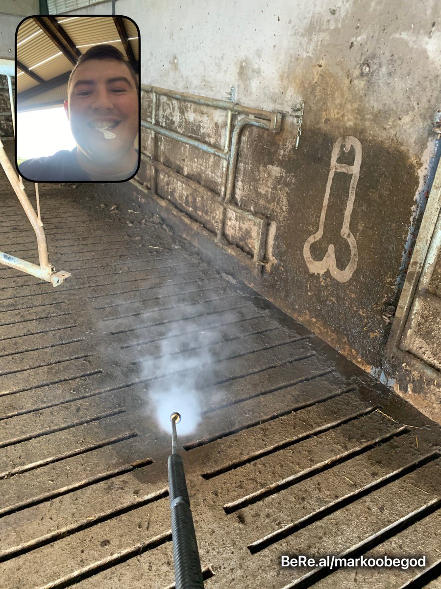 Making hard work of power washing the slatted shed #picasso #respecttheartist