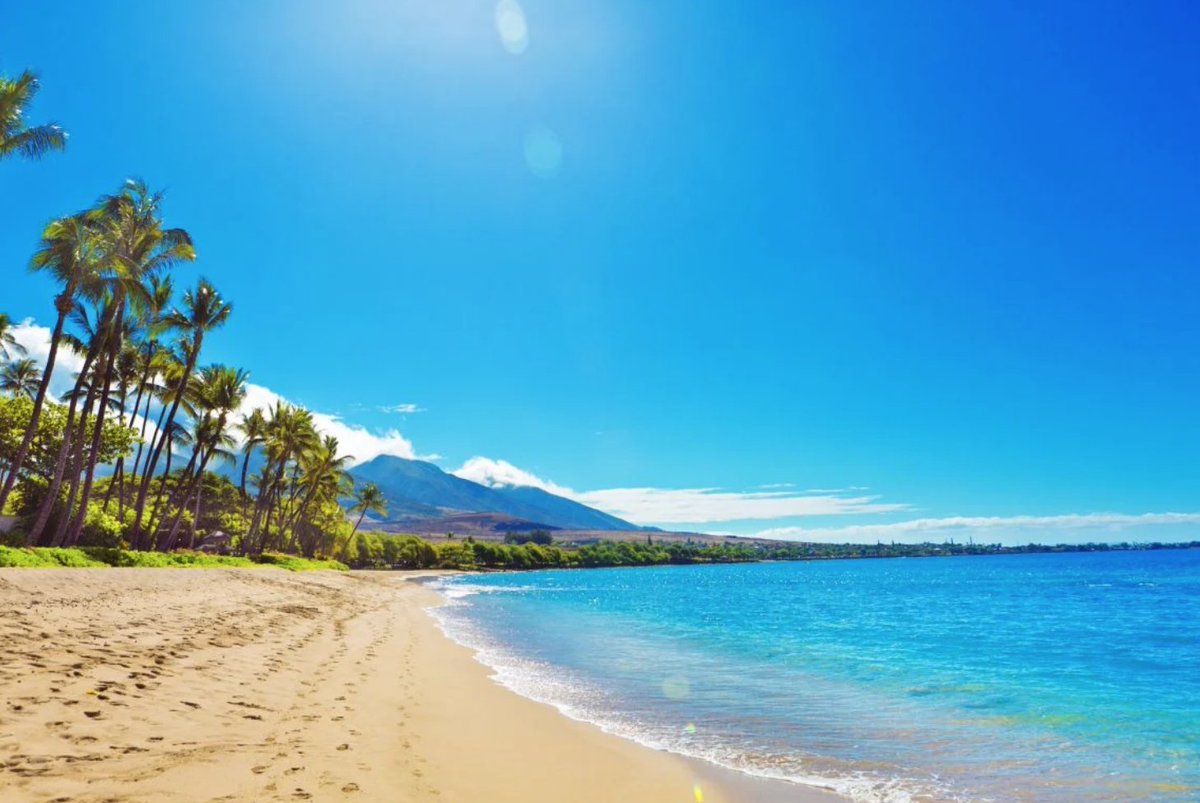 HAWAIIMagazine's tweet photo. Summer heat, mango allergies and accidental day drinking are just a few problems Hawaiสปi locals have to deal with during the summertime.โ๏ธ
https://t.co/3weN6J2BEV #Hawaii #HawaiiProblems #Summer #HawaiiSummer https://t.co/xaTdGra5Cu