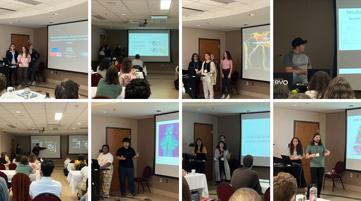 Neurophotonics's tweet photo. After 10 days of a lot of science and fun, it was the time for the students of the Frontiers in #neurophotonics Summer School to shine! 
Today they presented their mini-projects in a very dynamic, scientific and fun last session! Congratulations to all for the amazing work! https://t.co/F2U1UBkZYV