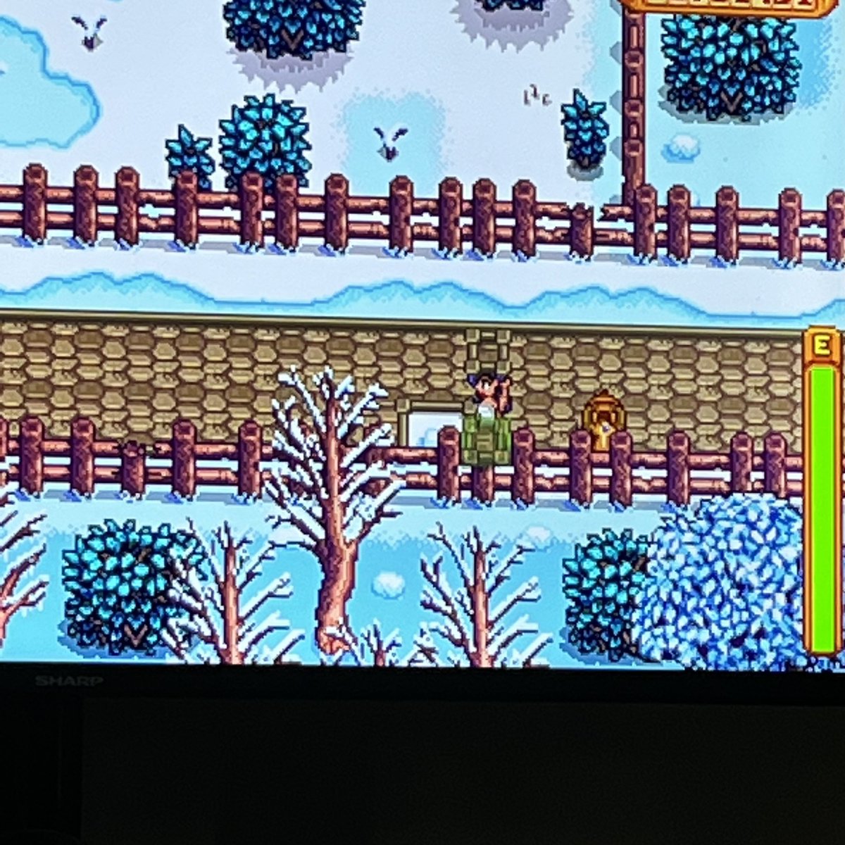 Shintox's tweet photo. @ConcernedApe Hey. I have been waiting for this to be fixed for YEARS. I have 100% your game. Please help me my OCD is SCREAMING. ❤️ https://t.co/LWfYBgSwkG