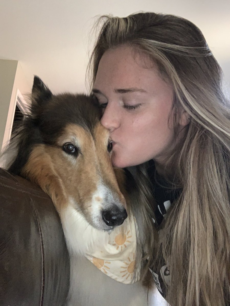 mollyadore's tweet photo. today is a very hard day 💔 i’ll love you forever sweet girl https://t.co/l5n54A1YTT